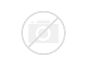 مثل همیشه